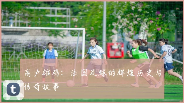 高卢雄鸡:法国足球的辉煌历史与传奇故事