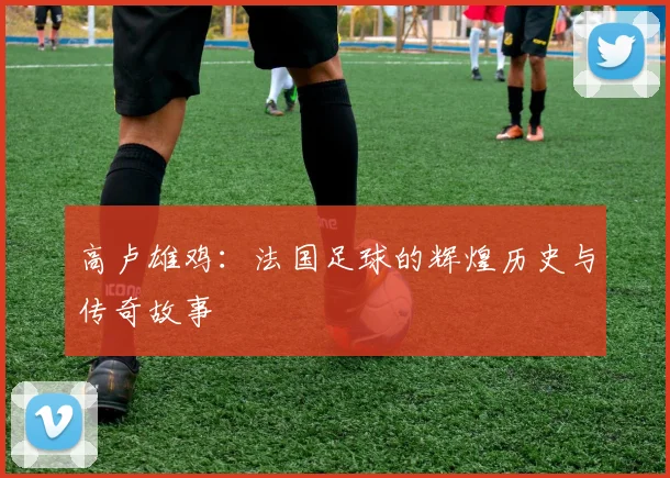 高卢雄鸡：法国足球的辉煌历史与传奇故事